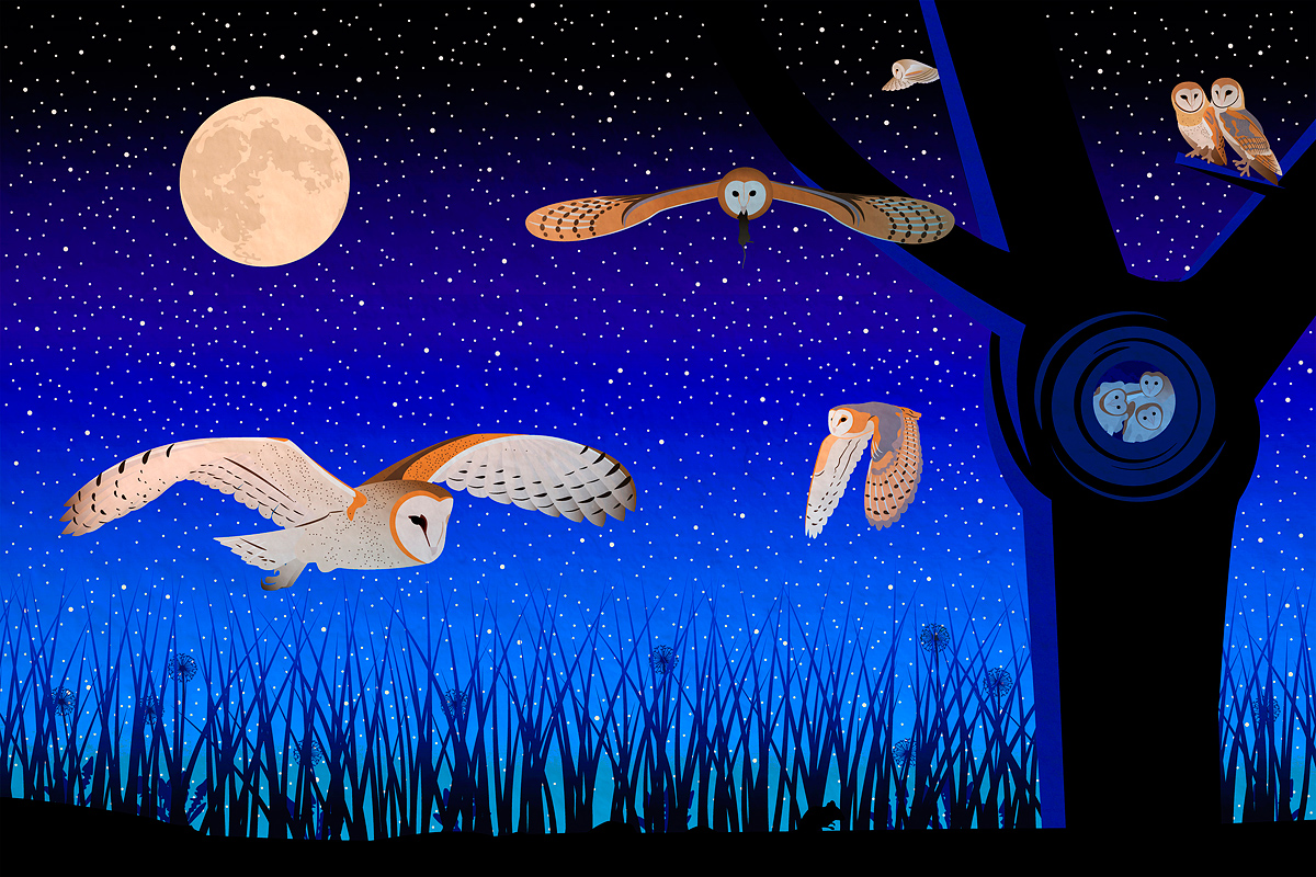 life of barn owls illustration: barn owls flying and catching prey - a mouse in the tall grass - at night, against a starlit sky and full moon, with three chicks nesting in an old tree stump
