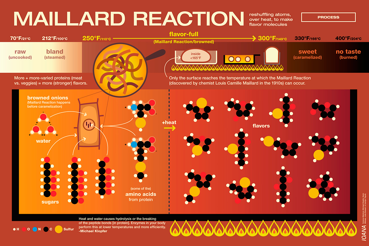 Maillard Reaction Illustration