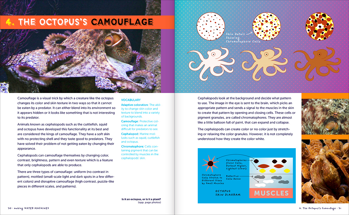 octopus camouflage mechanism intro, Making Water Machines book