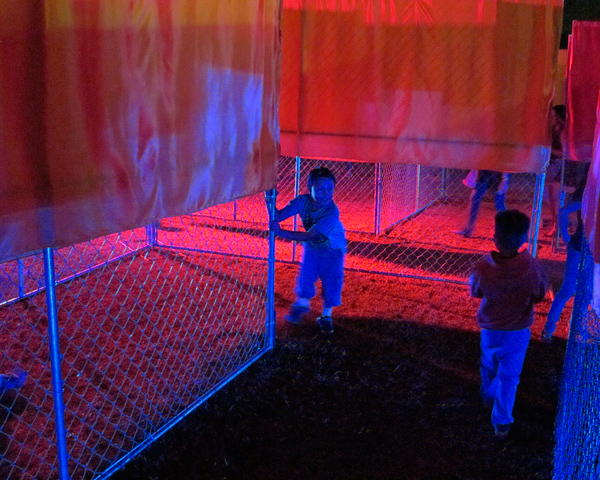 people exploring art installation at night